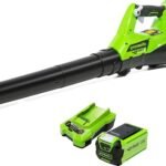 Soplador Greenworks G40ABK2