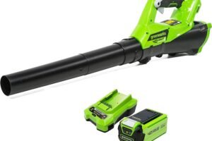 Soplador Greenworks G40ABK2