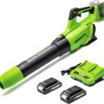 Soplador Greenworks GD24X2ABK2X