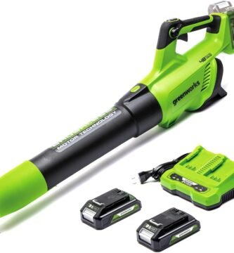 Soplador Greenworks GD24X2ABK2X